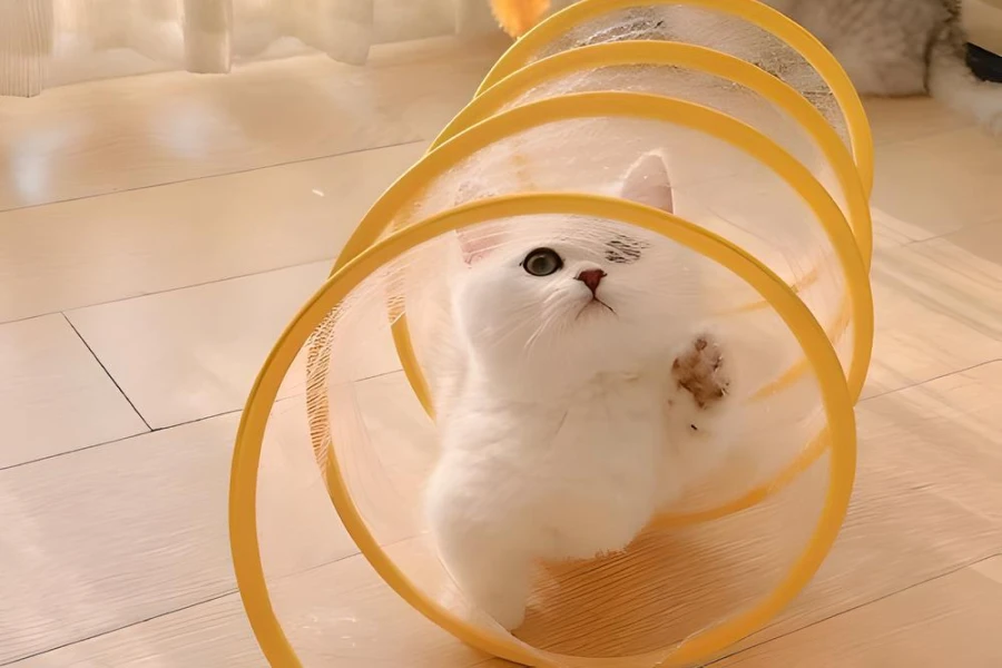 Foldable Cat Tunnel for Indoor Cats